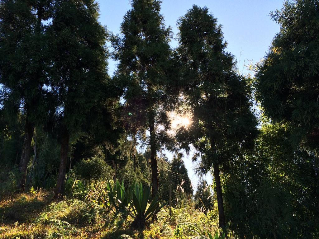 Deolo Cliff Eco Resort Kalimpong Zewnętrze zdjęcie